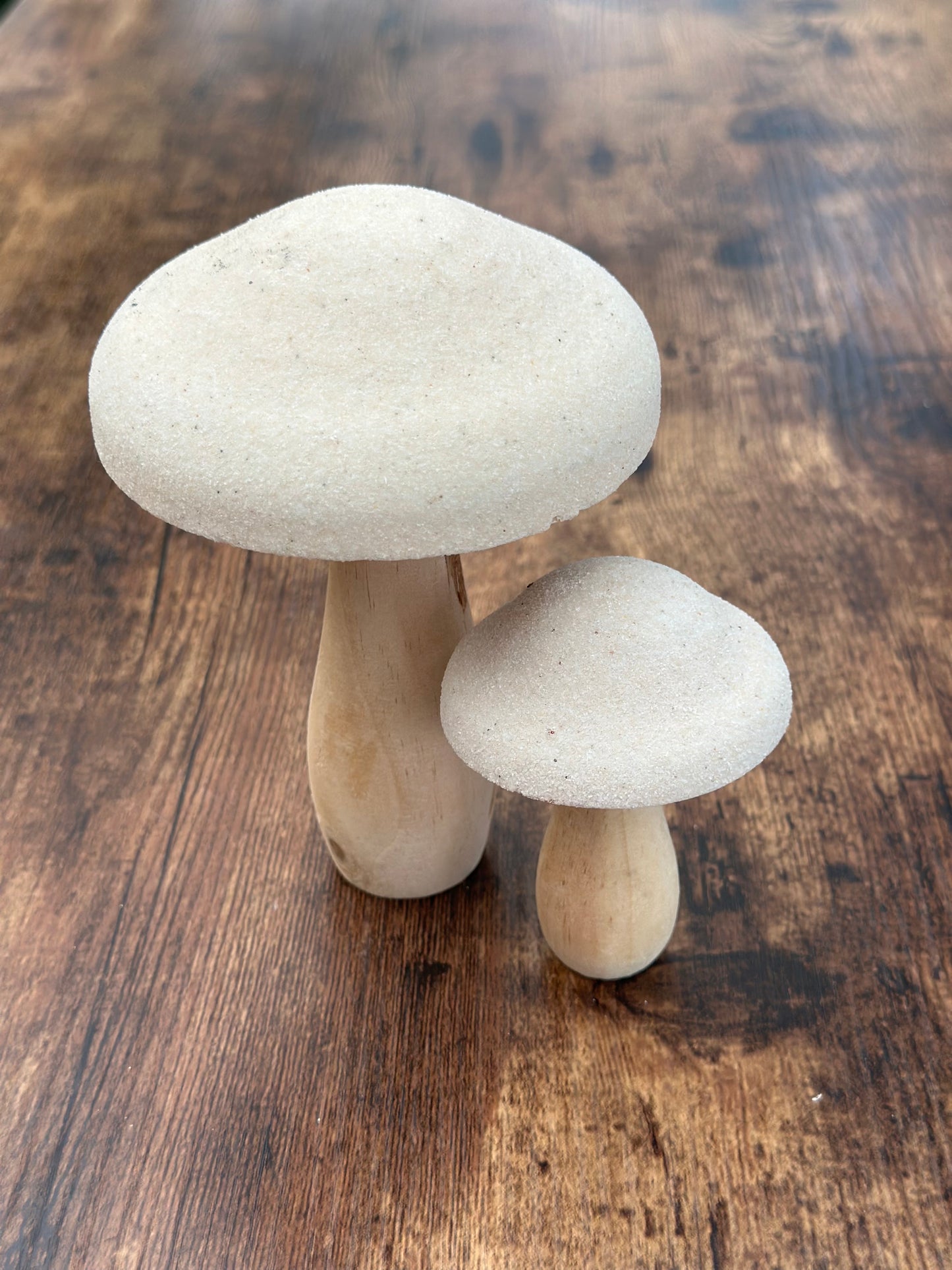 NA-DE-102 Decoración Hongos de Madera. Set x 2