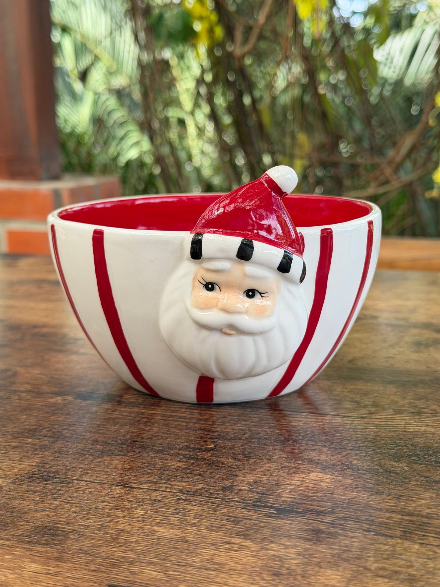 NA-DE-225 Bowl Rayas Rojas con Papa Noel