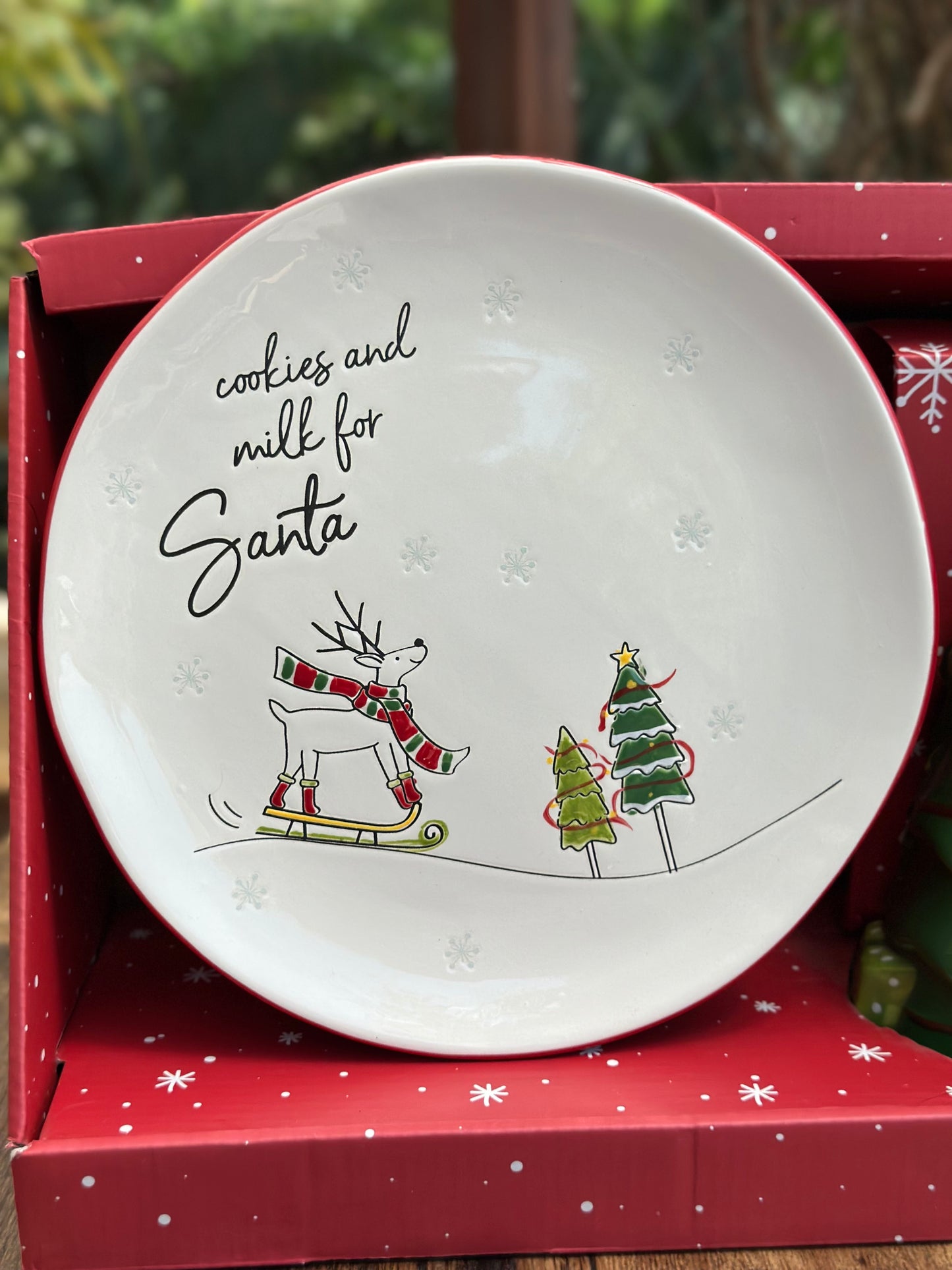 NA-JT-008 Set Cookies para Santa MUG & Plato