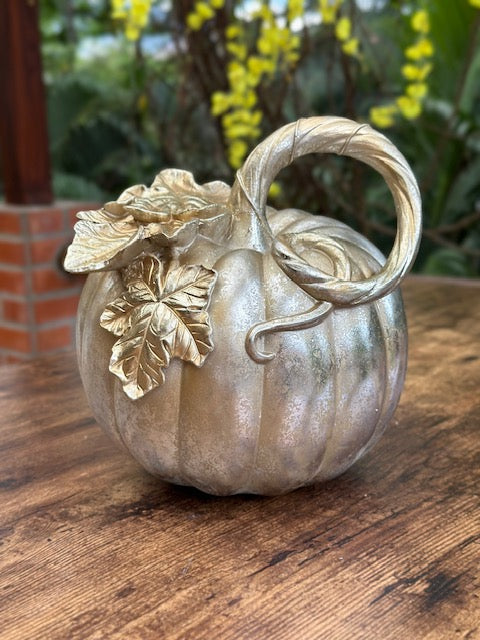 OT-DE-084 Calabaza Dorada Grande Otoño