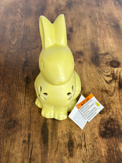 EA-DE-006 Conejo Amarillo Flores con Luz