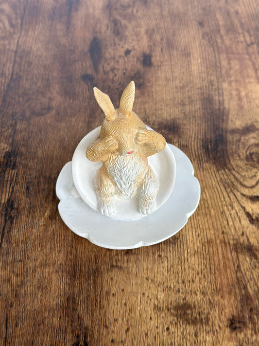 EA-DE-046 Conejo Cafe en Taza Blanca