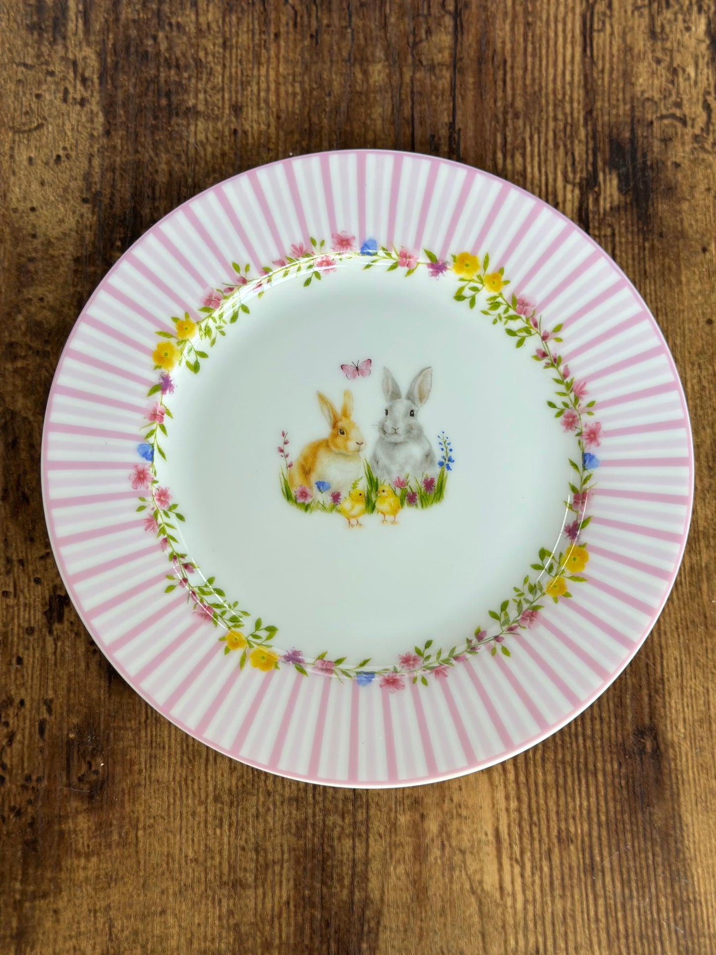 EA-PL-005 Plato Conejo Borde de Colores. Surtido. Set x 4
