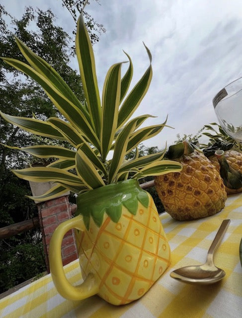 VE-DE-038 Mug Piña