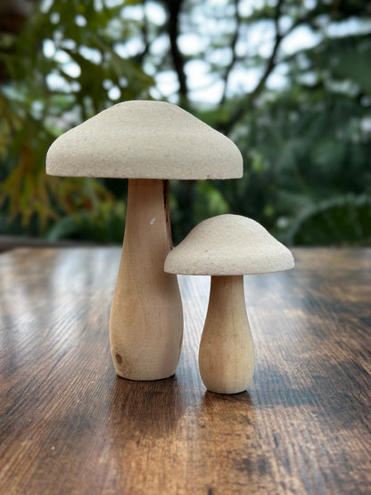 NA-DE-102 Decoración Hongos de Madera. Set x 2
