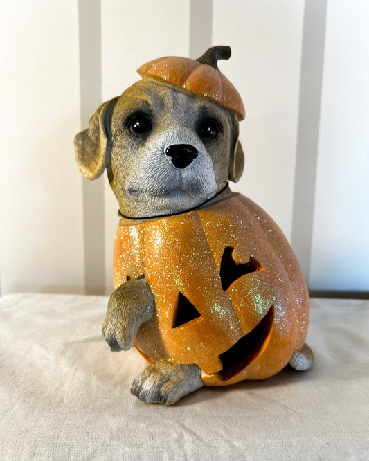 OT-DE-001 Decoración Perro Calabaza Otoño