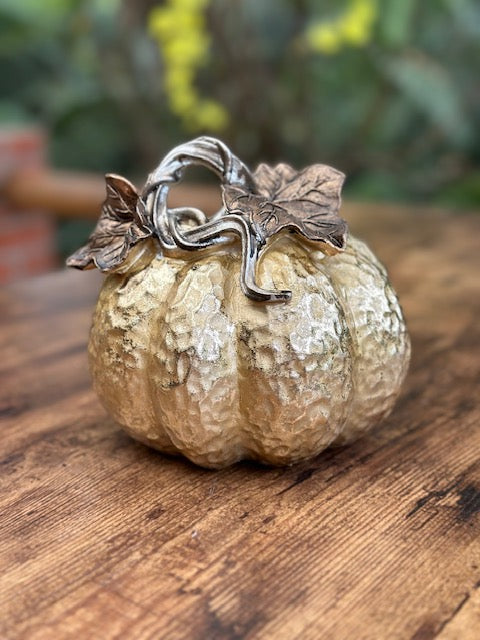 OT-DE-087 Calabaza Dorada Mediana Otoño