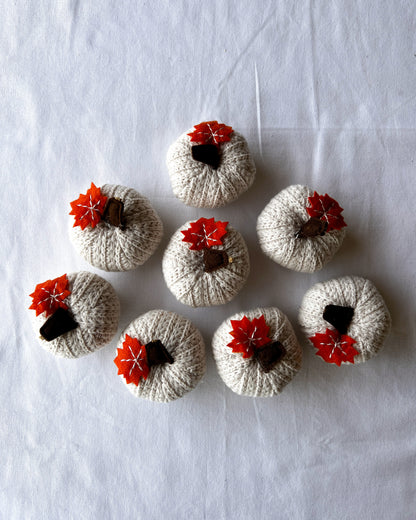 OT-MP-002 Marcadores de Puesto Caja Calabaza Crochet Otoño x 8