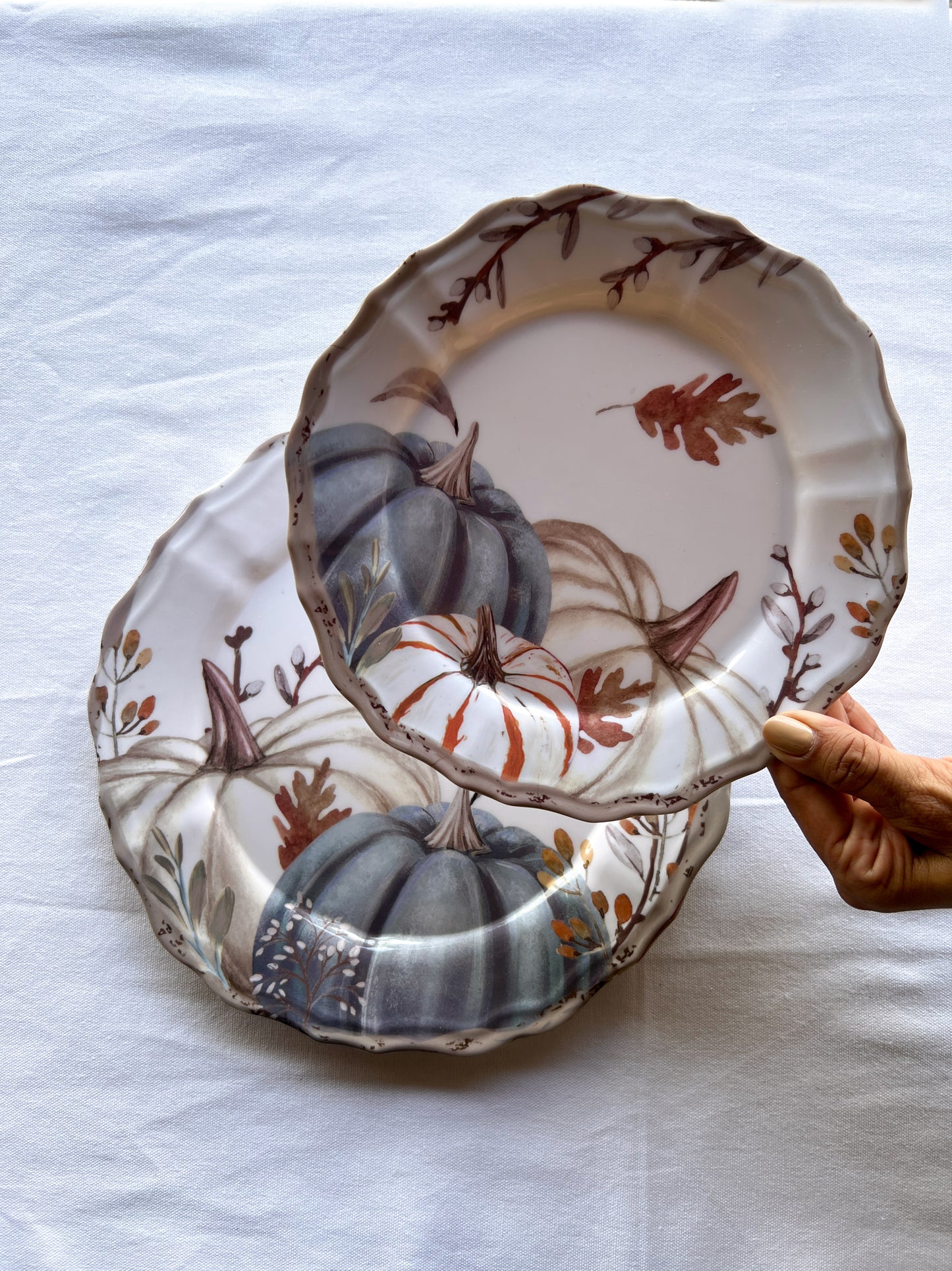 OT-PL-008 Platos Multicolor Set x2 Otoño x 8 Puestos