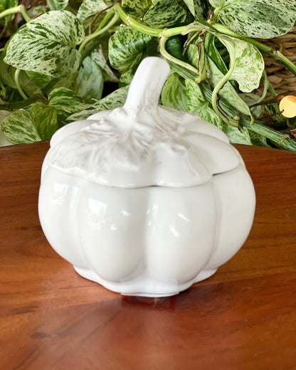 OT-PO-001 Postrera Calabaza Blanca x 4 Otoño