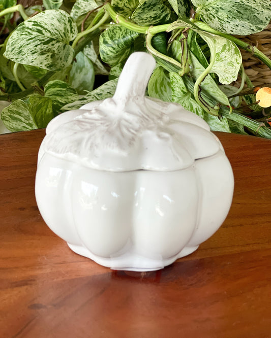 OT-PO-001 Postrera Calabaza Blanca x 4 Otoño